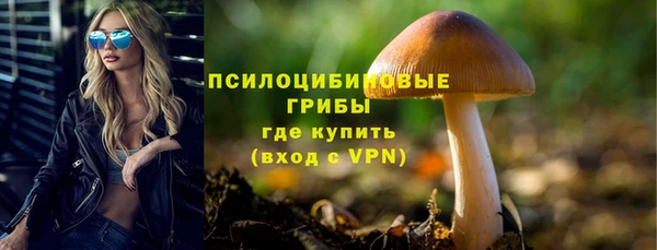амф Абдулино