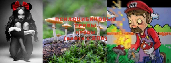 винт Алексин