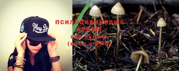 амф Абдулино