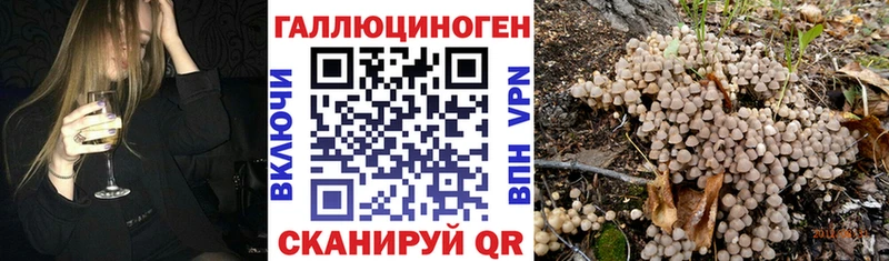 хочу   Лодейное Поле  дарк нет наркотические препараты  Псилоцибиновые грибы Magic Shrooms 
